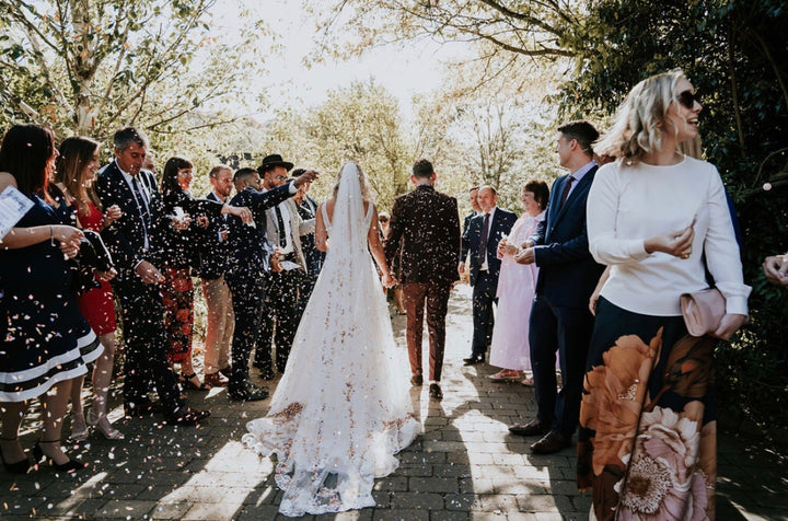 Lace Trim Veil